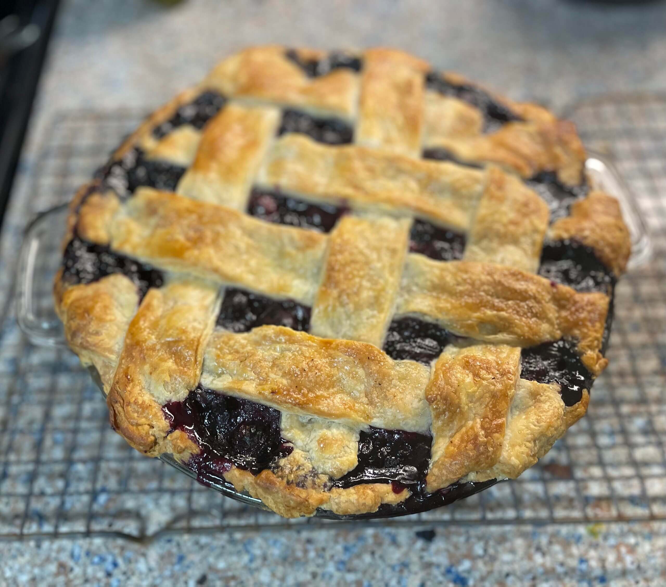 Zoom Bald Head Island Blueberry Pie