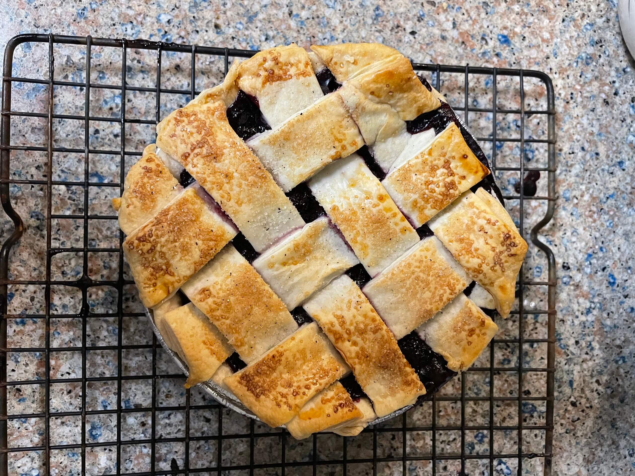 Zoom Blueberry Pie