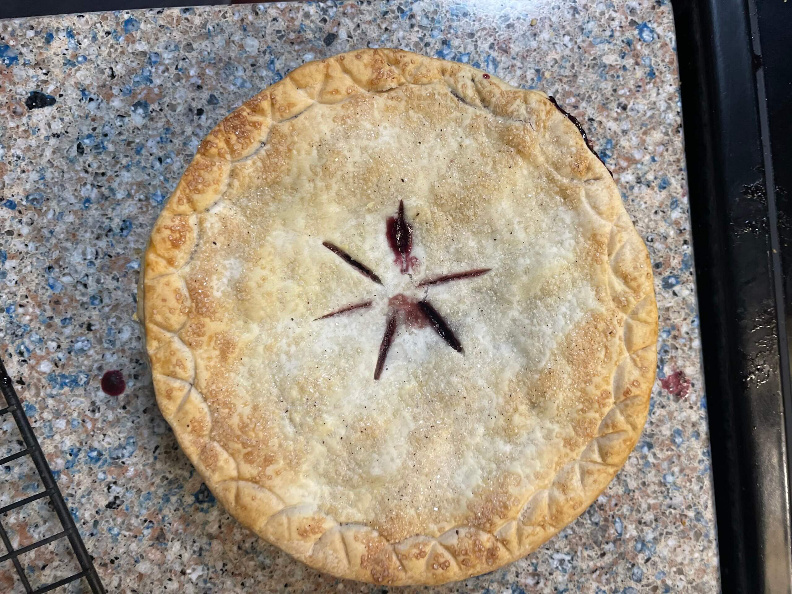 Zoom Cherry/Blueberry Pie